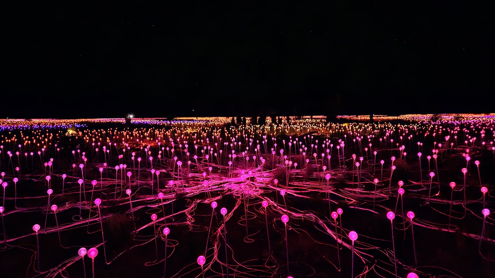 Red Centre 2025 (3) Field Of Light